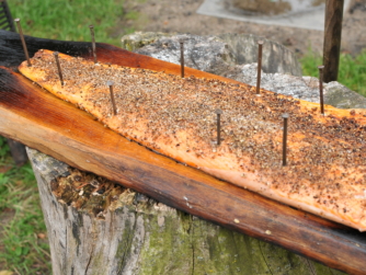 Lachs auf der Buchenplanke